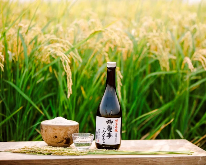 Koga: Aoki Shuzo Sake Brewery Tour with Tasting (Product 52522)