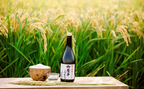 koga: aoki shuzo sake fabrikası turu ve tadım etkinliği-1