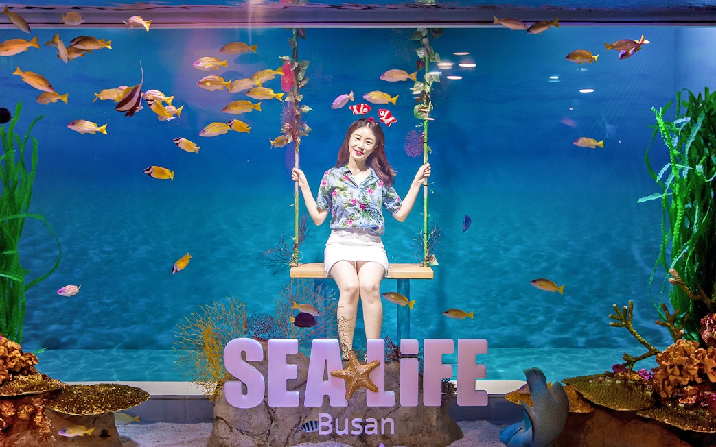 Visitor on swing at SEA LIFE Busan Aquarium surrounded by colorful fish