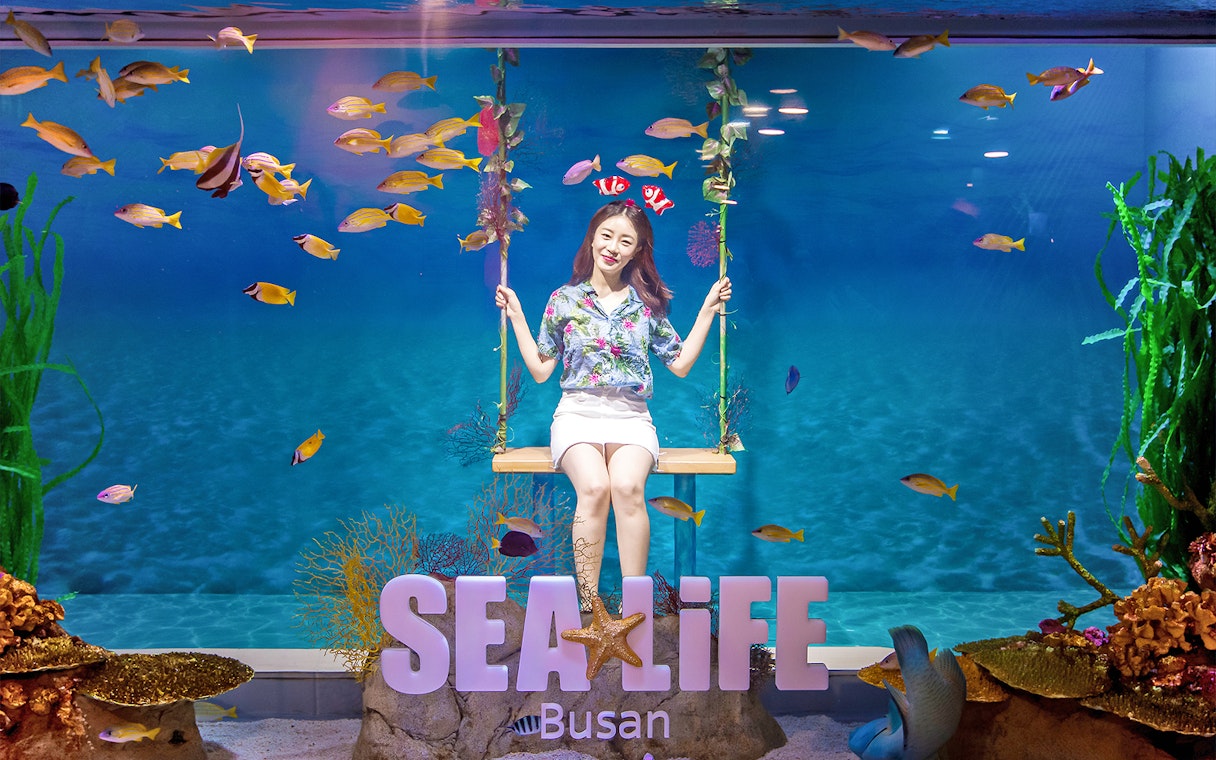 Visitor on swing at SEA LIFE Busan Aquarium surrounded by colorful fish