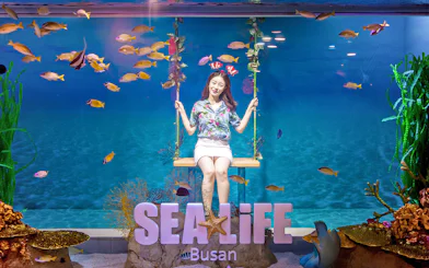 Visitor on swing at SEA LIFE Busan Aquarium surrounded by colorful fish
