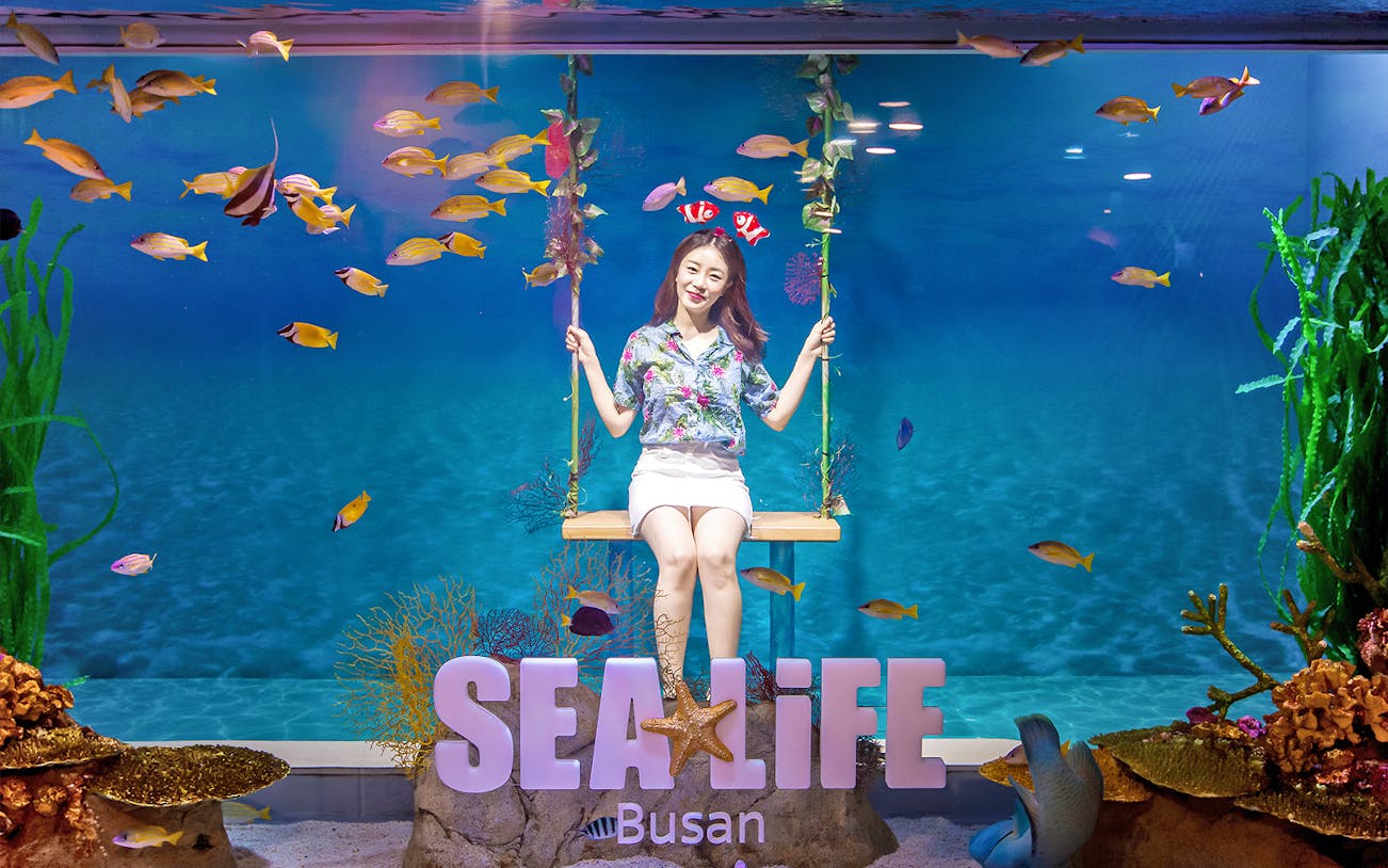 Visitor on swing at SEA LIFE Busan Aquarium surrounded by colorful fish