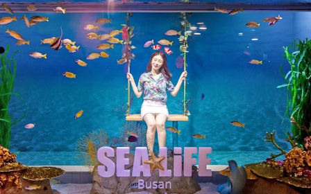 SEA LIFE Aquarium Busan Entry Tickets with Lotte Voucher