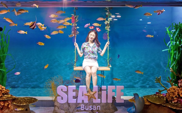 SEA LIFE Aquarium Busan Entry Tickets with Lotte Voucher
