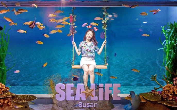 Visitor on swing at SEA LIFE Busan Aquarium surrounded by colorful fish