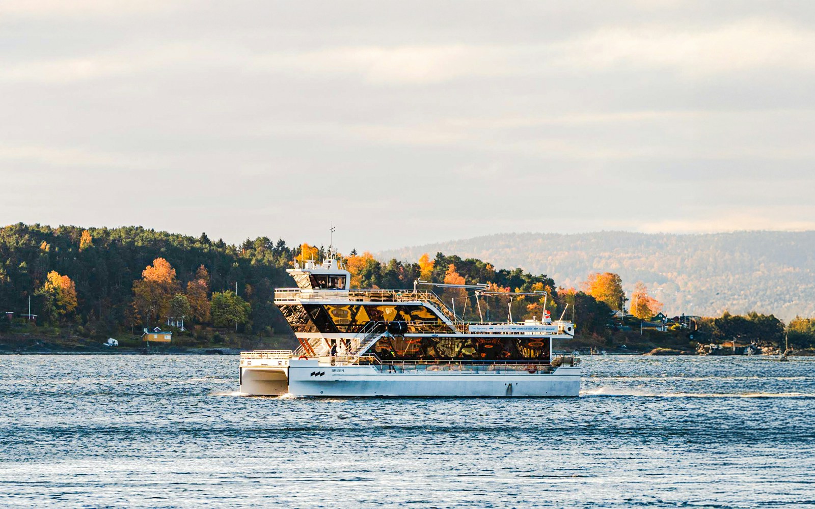 Silent fjord cruise from Oslo with guide, showcasing serene waters and lush landscapes.
