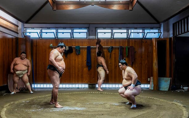 Sumo wrestlers practicing in a traditional dojo in Asakusa, Tokyo.