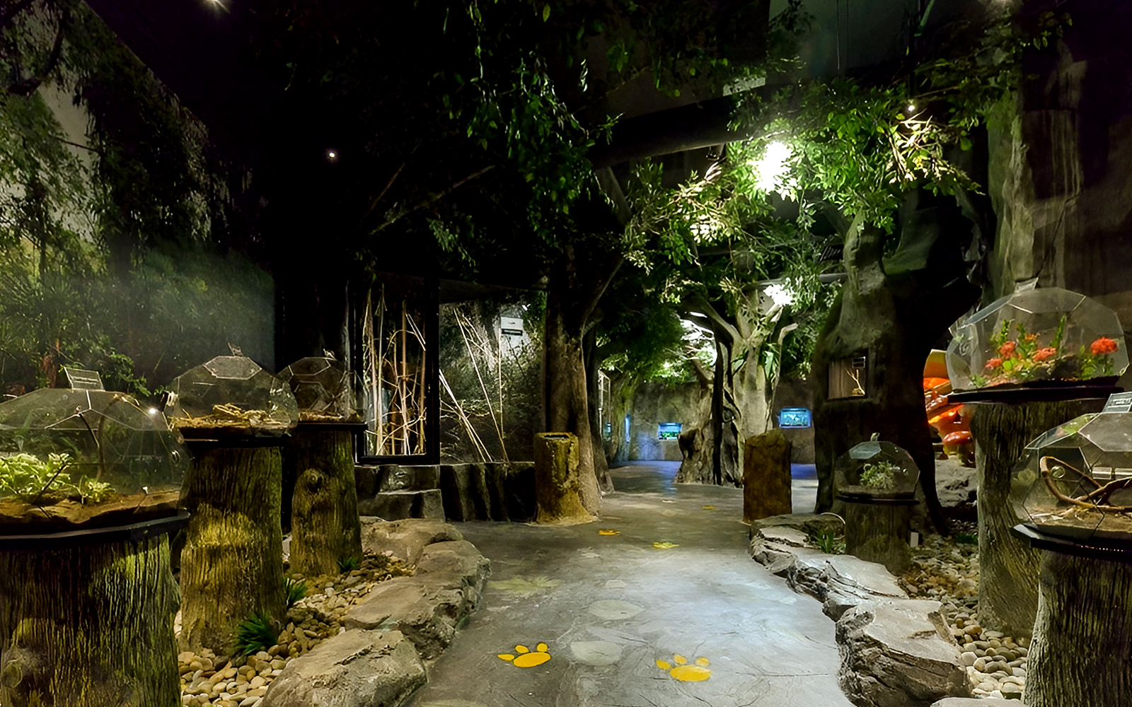 Entopia by Penang Butterfly Farm indoor exhibit with plants and terrariums.