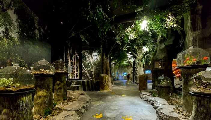 Visitors exploring lush greenery and vibrant butterflies inside Entopia by Penang Butterfly Farm, Malaysia.