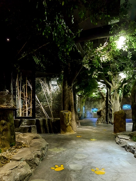 Entopia by Penang Butterfly Farm indoor exhibit with plants and terrariums.