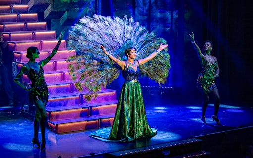 Performer in peacock costume on stage during "A Tribute to JOSEPHINE" evening show.
