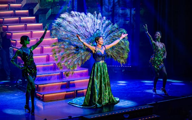 Performer in peacock costume on stage during "A Tribute to JOSEPHINE" evening show.