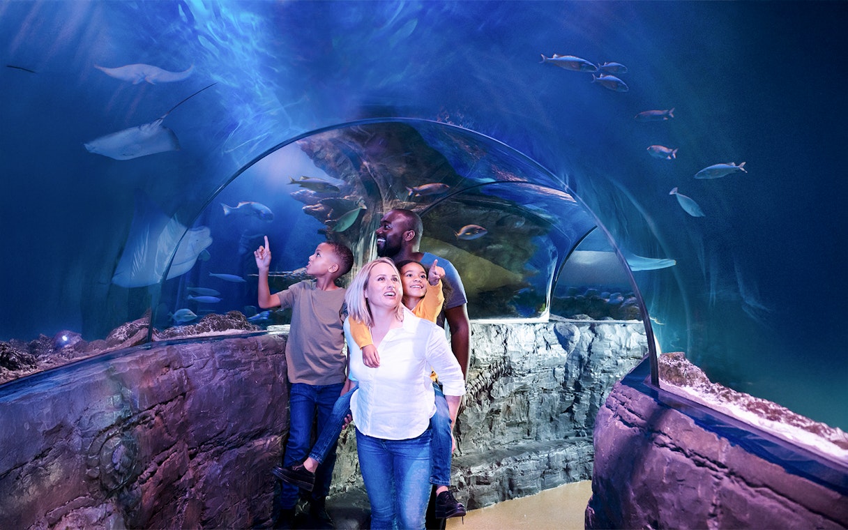 Guests walking through underwater tunnel at Sea Life Aquarium, Legoland California, observing marine life.