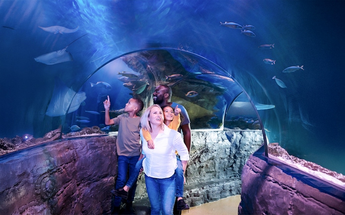Guests walking through underwater tunnel at Sea Life Aquarium, Legoland California, observing marine life.