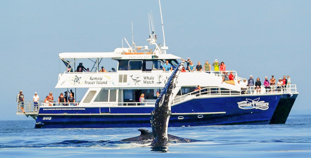 Tourists on a ship watching a whale near Fraser Island, K'gari.