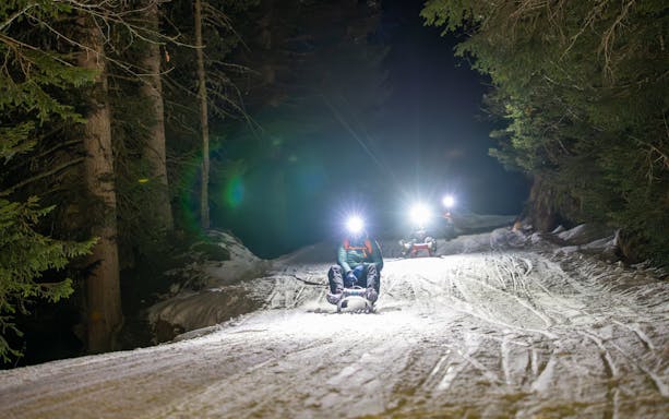 Group sledding at night with headlamps on a snowy trail in Interlaken forest.