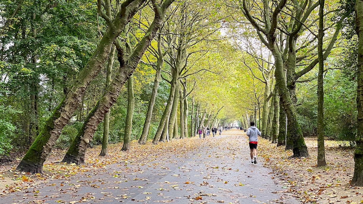 Westerpark canal view with historic buildings in Amsterdam.