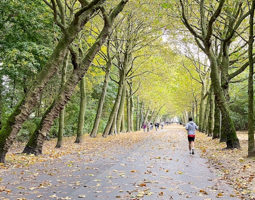 Westerpark canal view with historic buildings in Amsterdam.