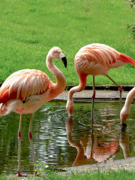 Warschauer Zoo