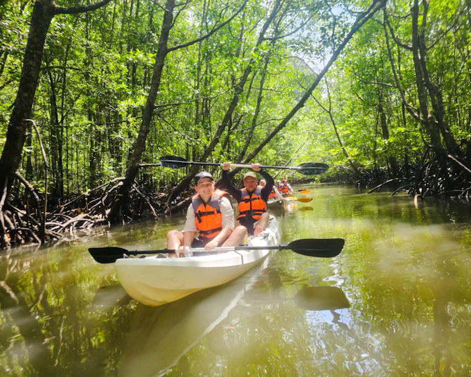 Langkawi Kilim Geoforest Park Mangrove Kayaking Tour with Lunch and Pickup (Product 54023)