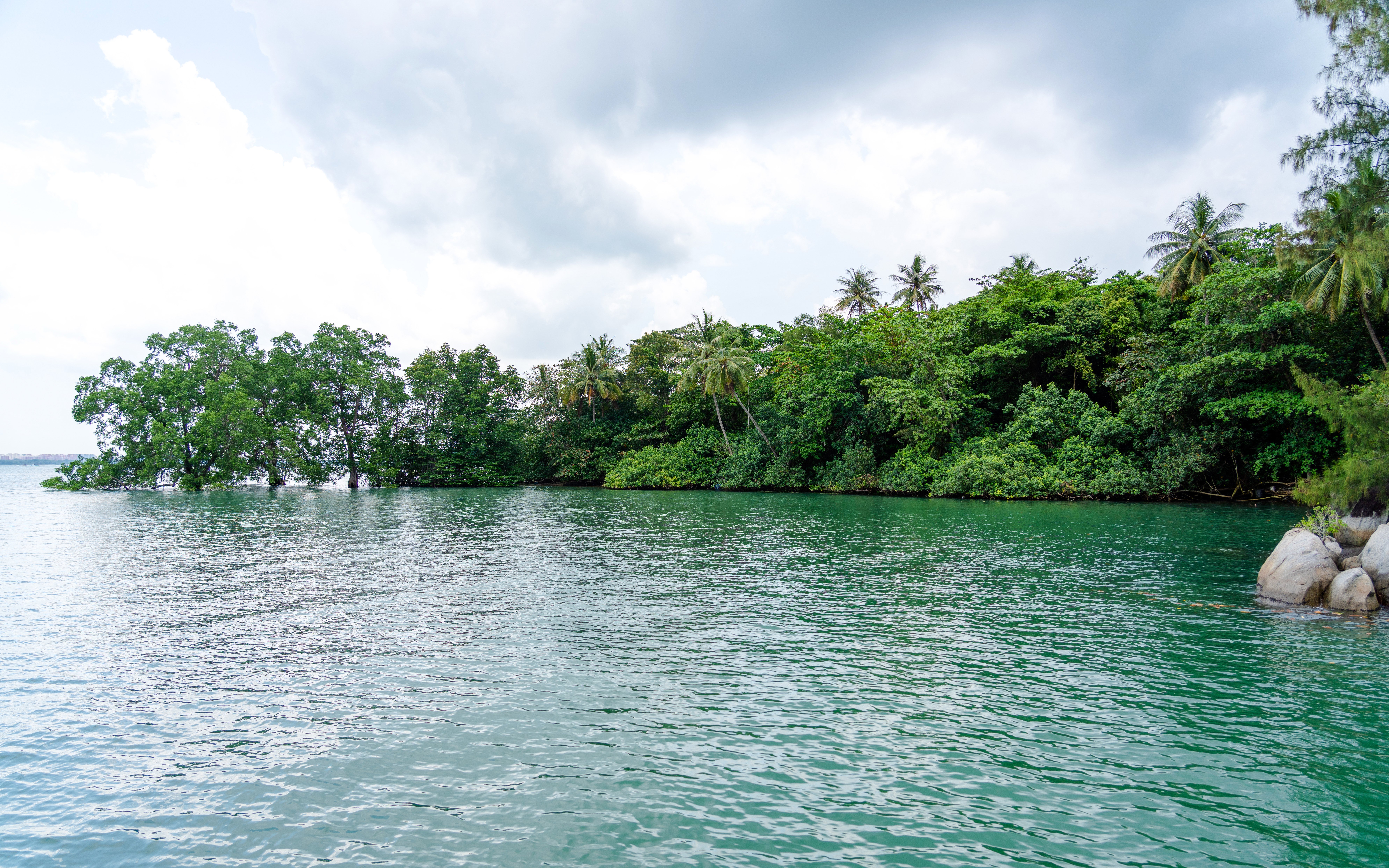 Tropical shoreline with lush greenery on Pulau Ubin, Singapore.