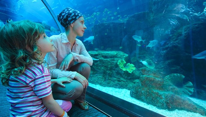 Ocean Wall in barcelona museum
