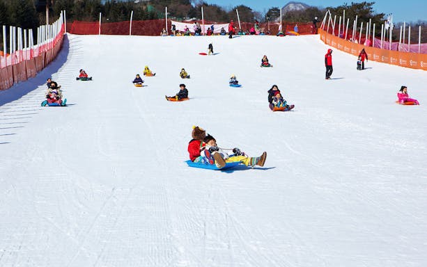 Sledding at Elysian Gangchon Ski Resort during a day trip from Seoul.