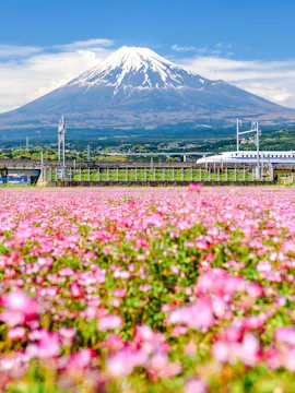Shinkansen Tickets