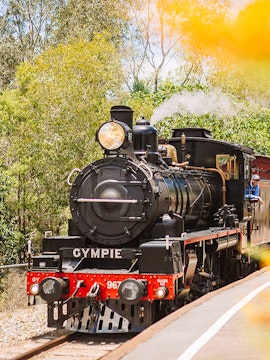 Mary Valley Rattler steam train on tracks in Gympie, surrounded by trees.