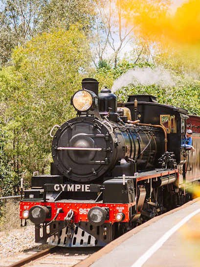 Mary Valley Rattler steam train on tracks in Gympie, surrounded by trees.