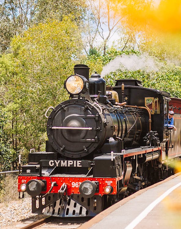 Mary Valley Rattler steam train on tracks in Gympie, surrounded by trees.