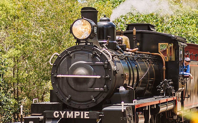 Mary Valley Rattler steam train on tracks in Gympie, surrounded by trees.