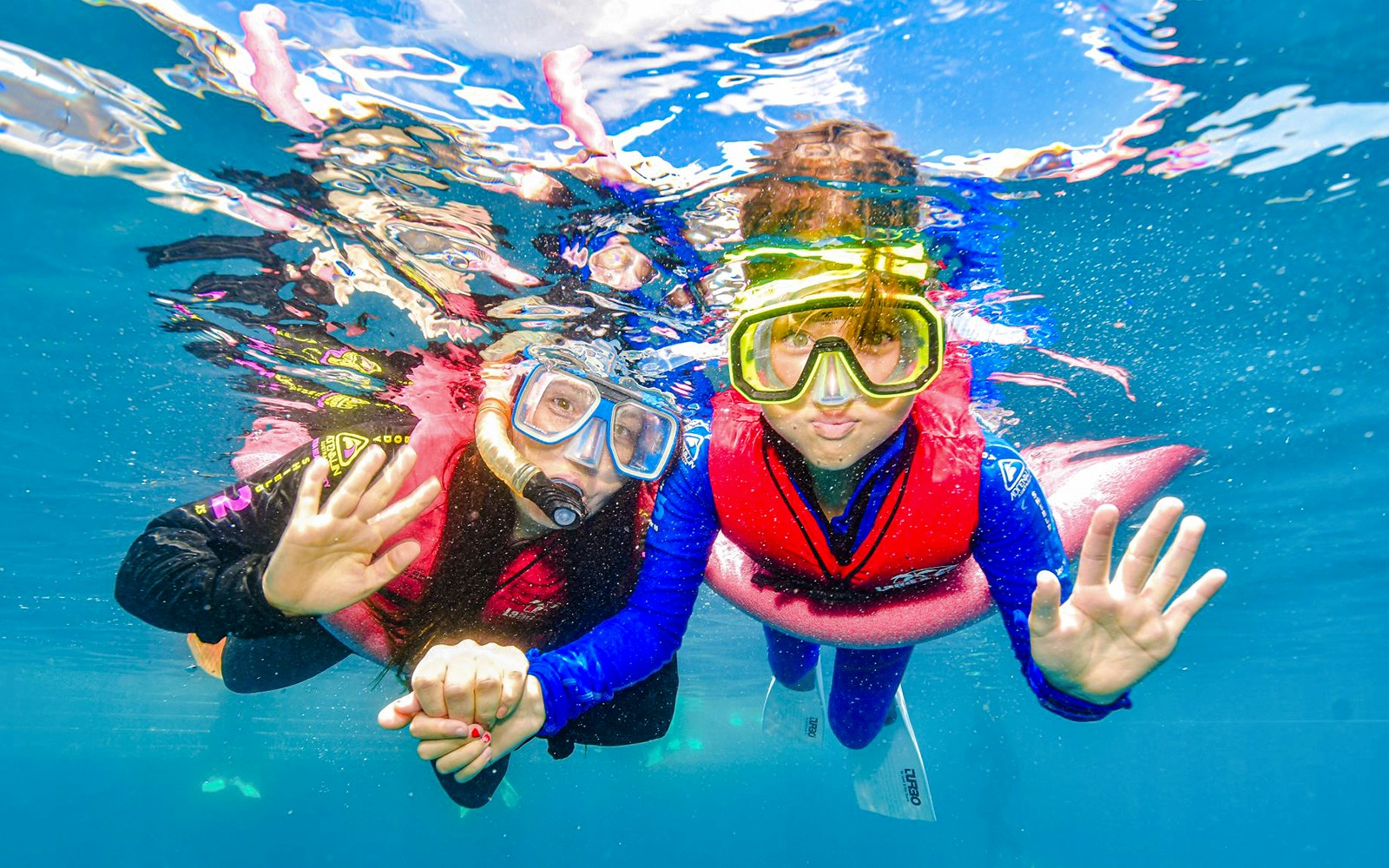 Tourists snorkelling in the Great Barrier Reef, wearing masks and life vests.