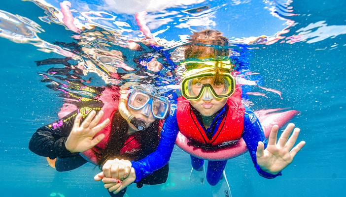 Tourists snorkelling in the Great Barrier Reef, wearing masks and life vests.