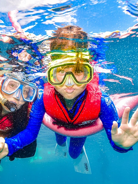 Tourists snorkelling in the Great Barrier Reef, wearing masks and life vests.