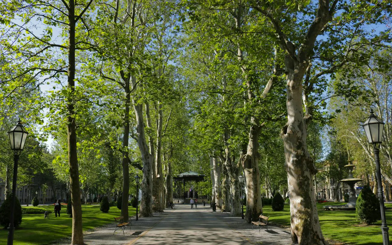 Zagreb park pathway lined with tall trees and benches, part of self-guided city exploration game.