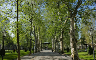 Zagreb park pathway lined with tall trees and benches, part of self-guided city exploration game.