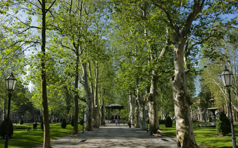 Zagreb park pathway lined with tall trees and benches, part of self-guided city exploration game.