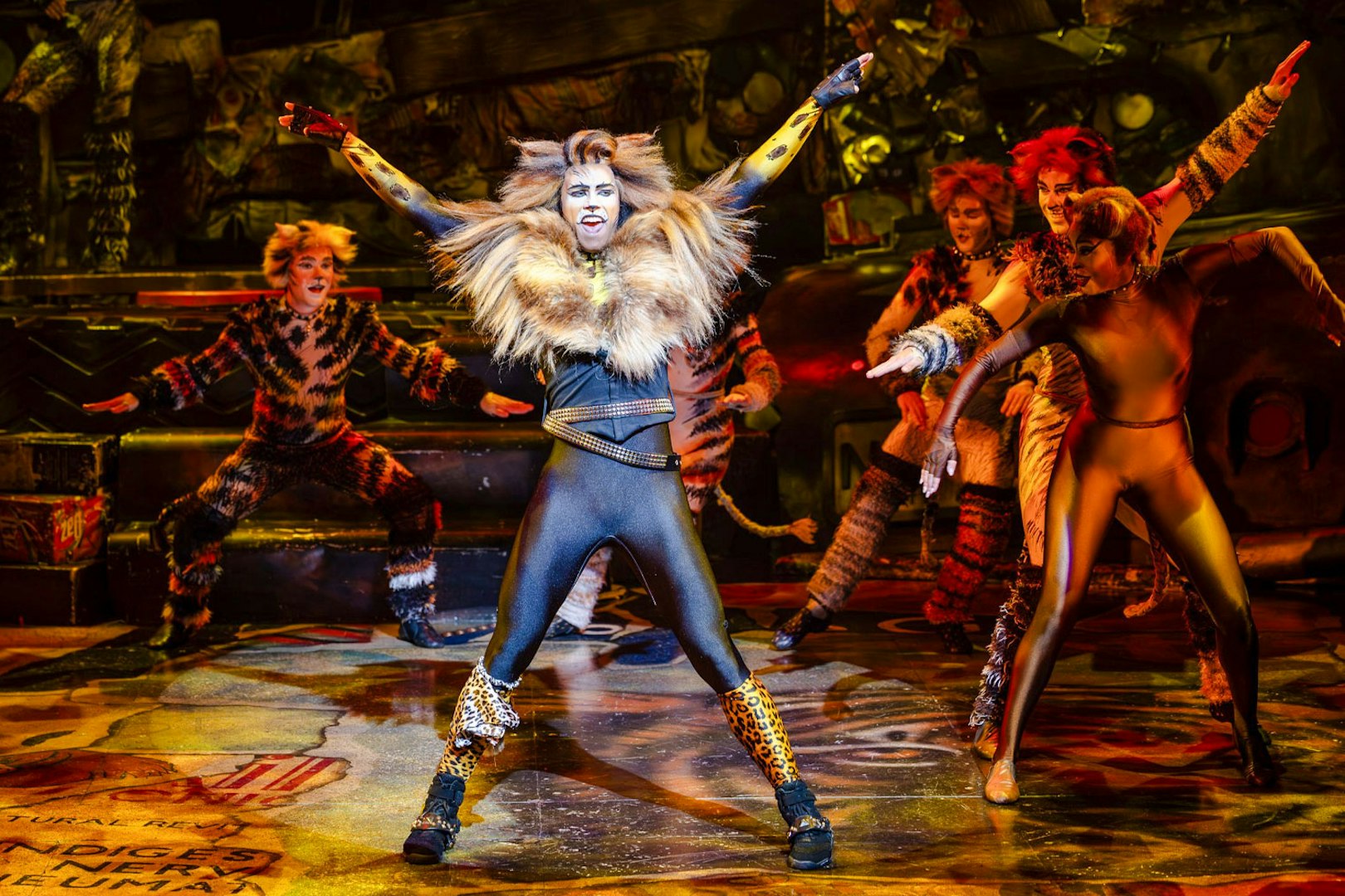 Performers in costume during Cats show in Perth.