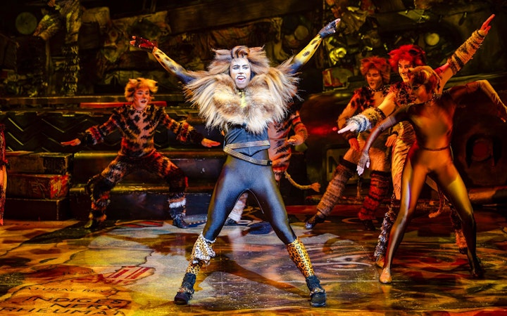 Performers in costume during Cats show in Perth.