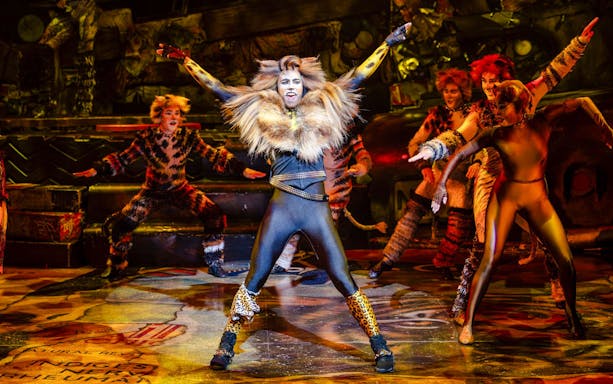 Performers in costume on stage at Cats Show, Perth.