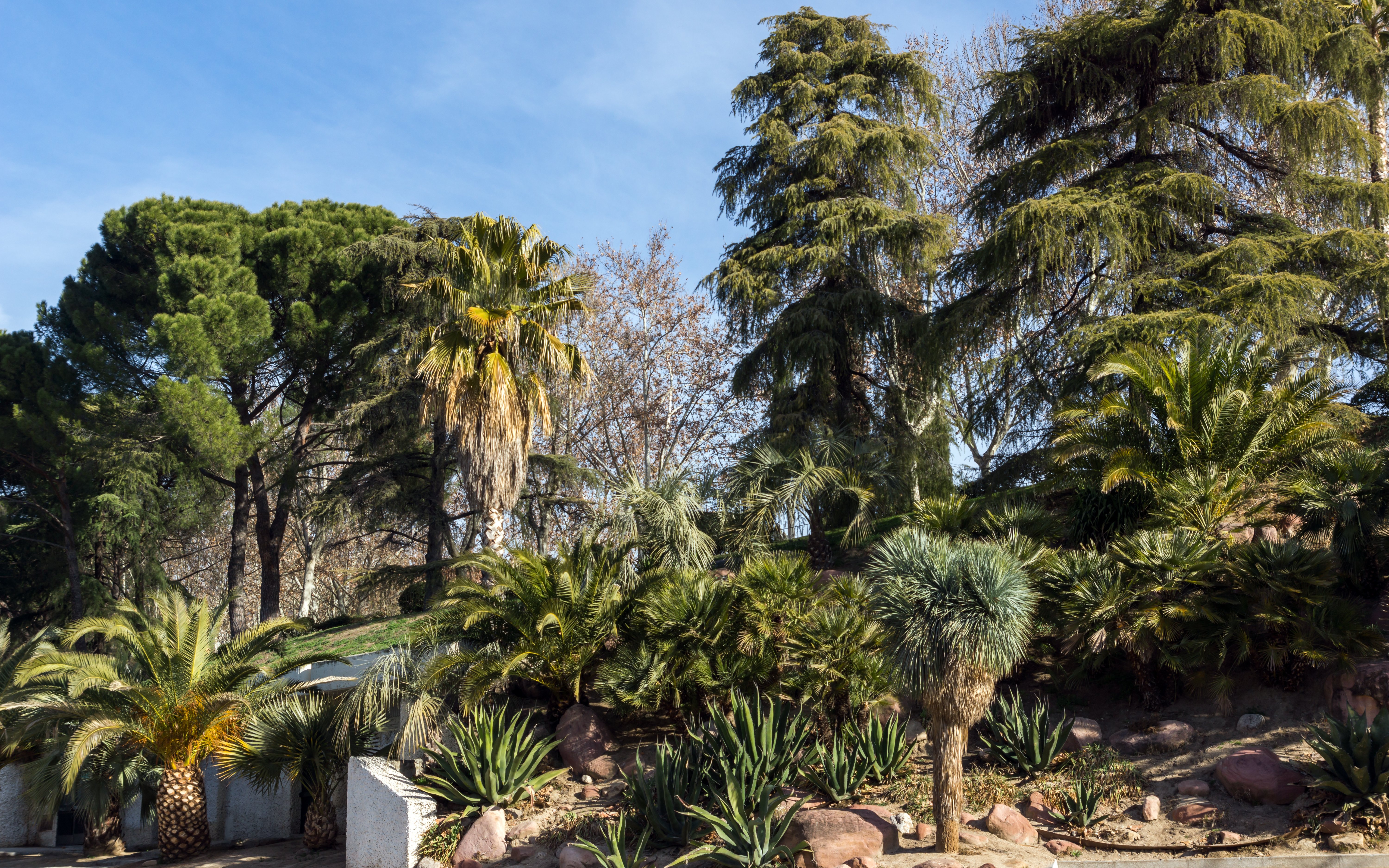 Parque del Oeste