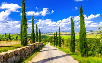 Cypress-lined road through Tuscan countryside with rolling hills.