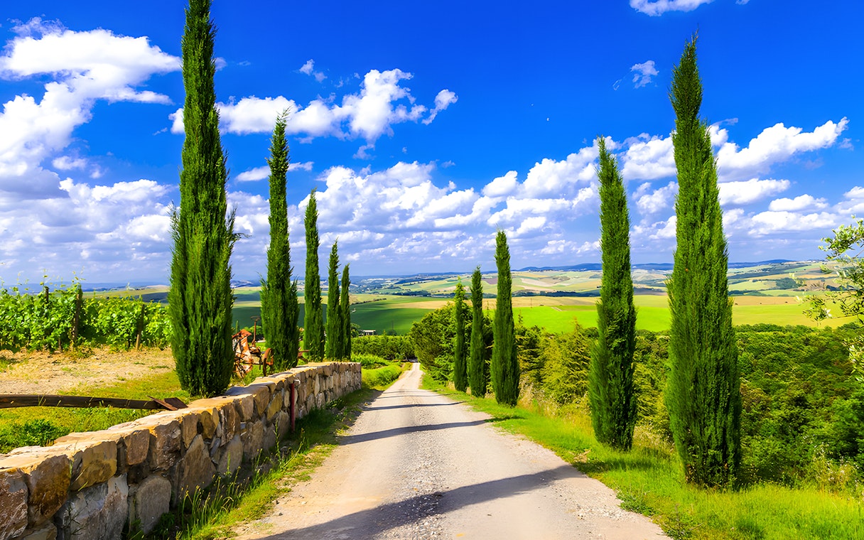 Cypress-lined road through Tuscan countryside with rolling hills.
