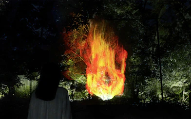 Visitor observing digital fire art at teamLab Botanical Garden, Osaka, Japan.