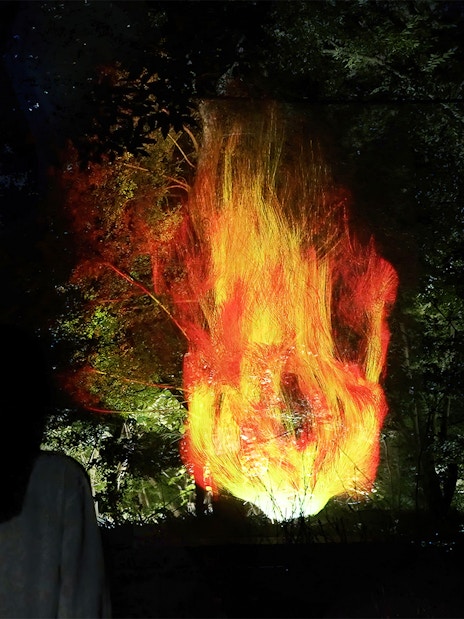 Visitor observing digital fire art at teamLab Botanical Garden, Osaka, Japan.
