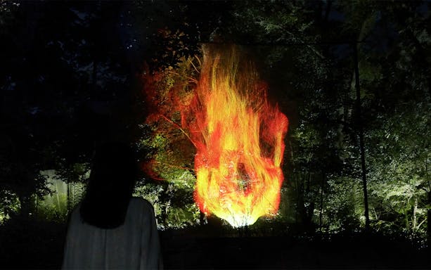Visitor observing digital fire art at teamLab Botanical Garden, Osaka, Japan.
