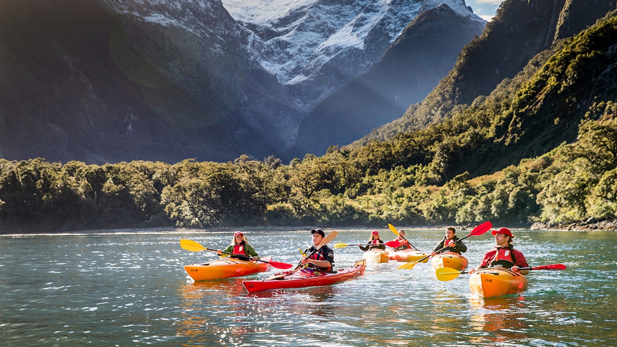 Kayaking Milford sound