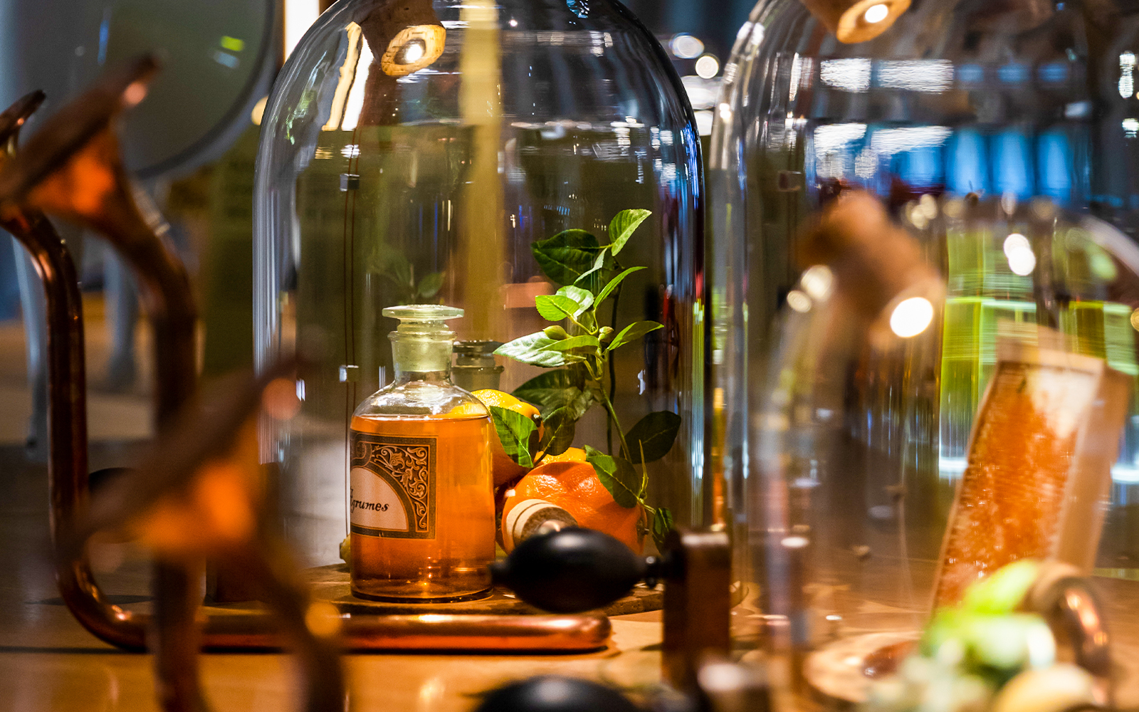 Bottle and citrus display at Cité du Vin, Bordeaux, France.