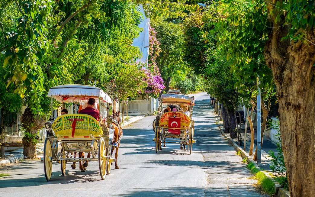 Horse-drawn carriages on a tree-lined street in Buyukada Island, Istanbul.